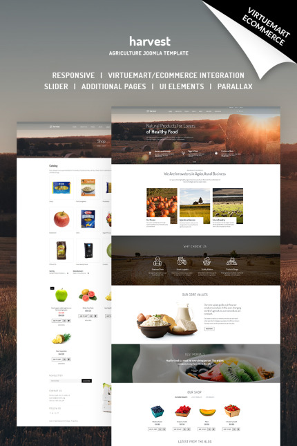 Kit Graphique #66783 Joomla Ecommerce Divers Modles Web - Logo template Preview