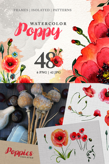 Kit Graphique #76249 Poppy Watercolor Divers Modles Web - Logo template Preview