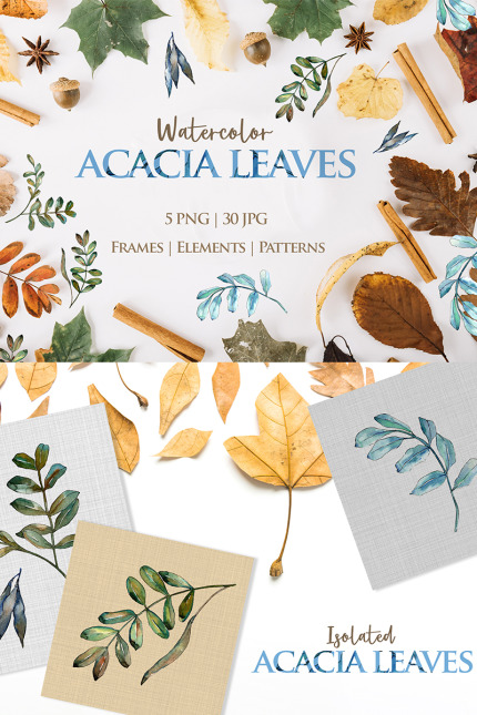 Kit Graphique #76480 Acacia Feuilles Divers Modles Web - Logo template Preview