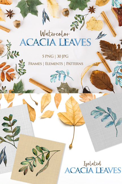 Kit Graphique #76480 Acacia Leaves Divers Modles Web - Logo template Preview