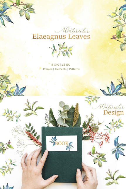 Kit Graphique #76626 Elaeagnus Feuilles Divers Modles Web - Logo template Preview