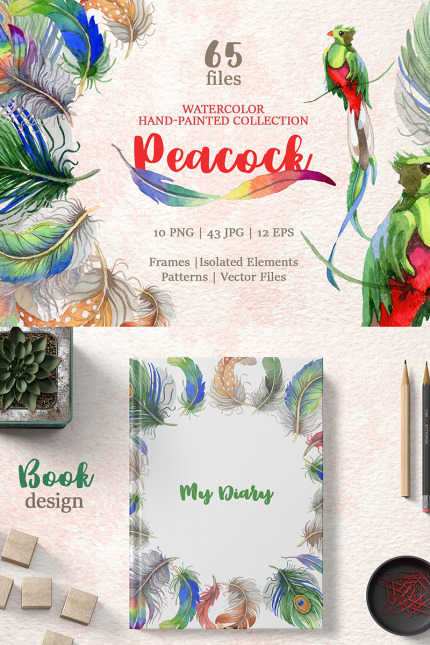 Kit Graphique #76703 Peacock Watercolor Divers Modles Web - Logo template Preview