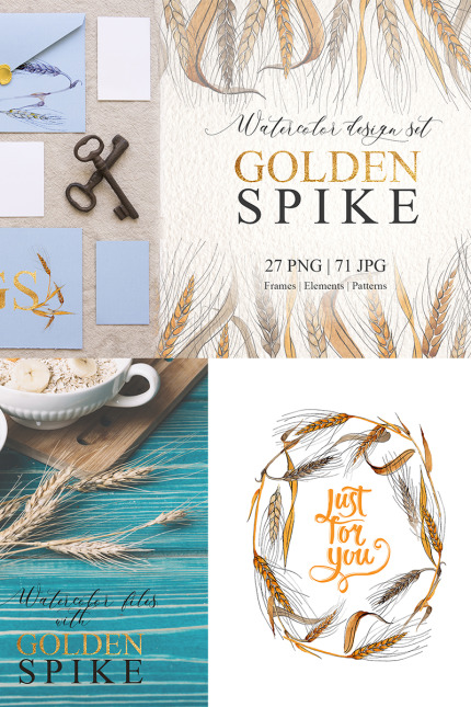 Kit Graphique #76716 Spike Watercolor Divers Modles Web - Logo template Preview