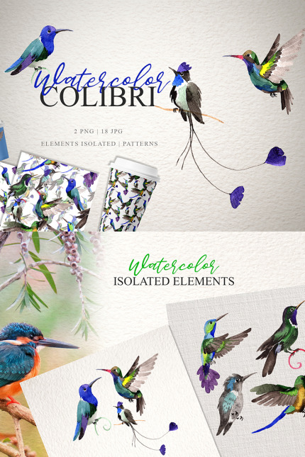 Kit Graphique #76768 Colibri Watercolor Divers Modles Web - Logo template Preview