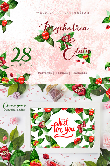 Kit Graphique #77198 Psychotria Elata Divers Modles Web - Logo template Preview