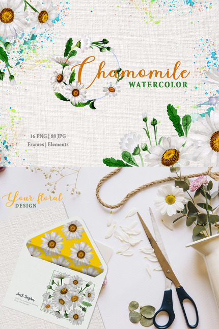 Kit Graphique #77490 Chamomile Watercolor Divers Modles Web - Logo template Preview