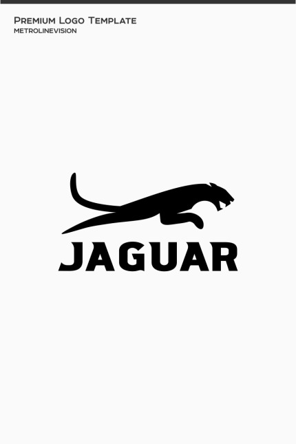 Kit Graphique #77499 Animals Big Divers Modles Web - Logo template Preview