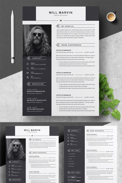 Kit Graphique #78873 Resume 2 Divers Modles Web - Logo template Preview