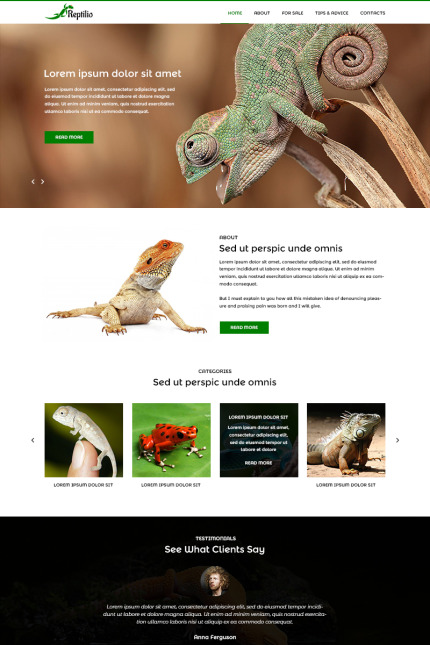 Kit Graphique #82012 Reptile Animal Divers Modles Web - Logo template Preview