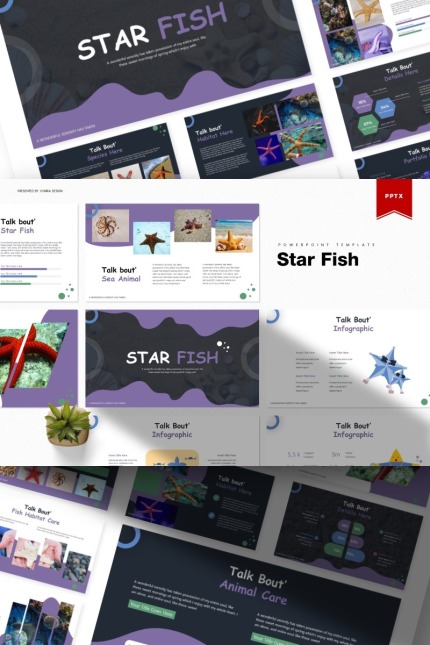 Kit Graphique #85680 Starfish Fish Divers Modles Web - Logo template Preview