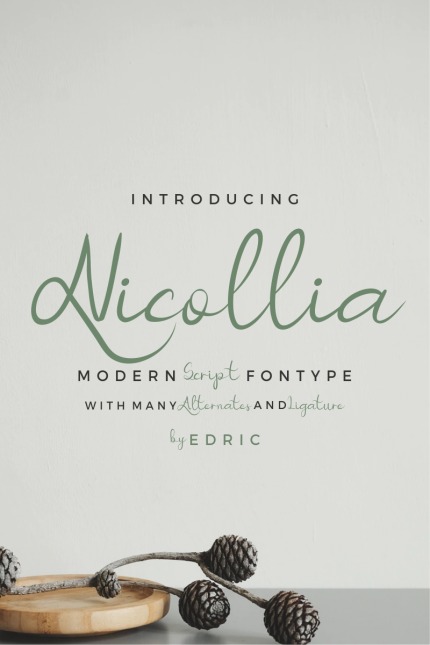 Kit Graphique #87423 Beautiful Bold Divers Modles Web - Logo template Preview