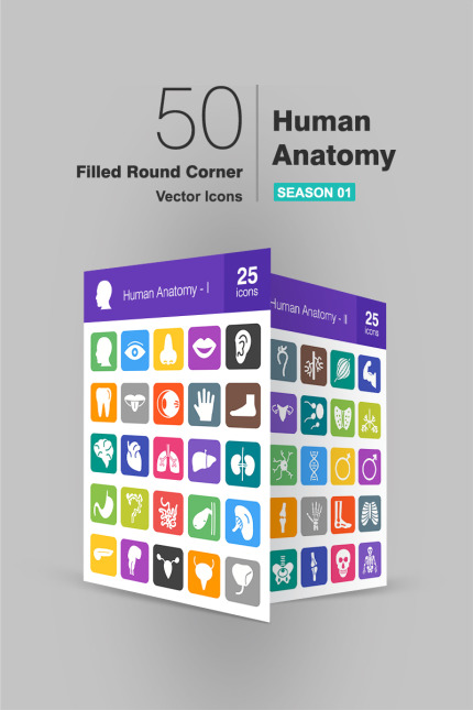 Kit Graphique #91157 Anatomy Icon Divers Modles Web - Logo template Preview