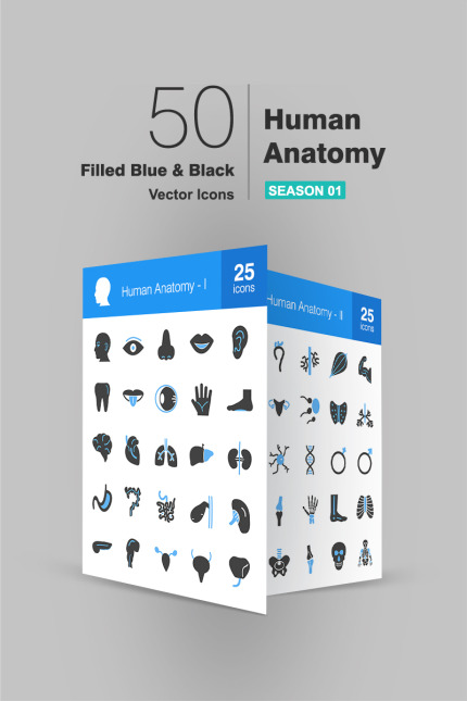 Kit Graphique #92411 Anatomy Icon Divers Modles Web - Logo template Preview