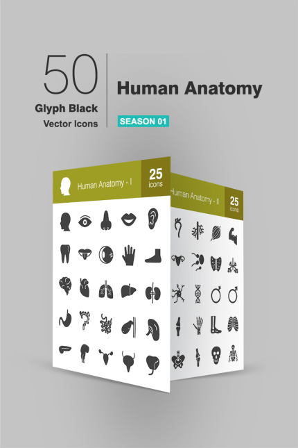 Kit Graphique #93180 Anatomy Icon Divers Modles Web - Logo template Preview