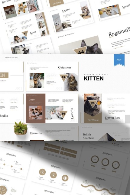 Kit Graphique #93415 Cat Mignon Divers Modles Web - Logo template Preview