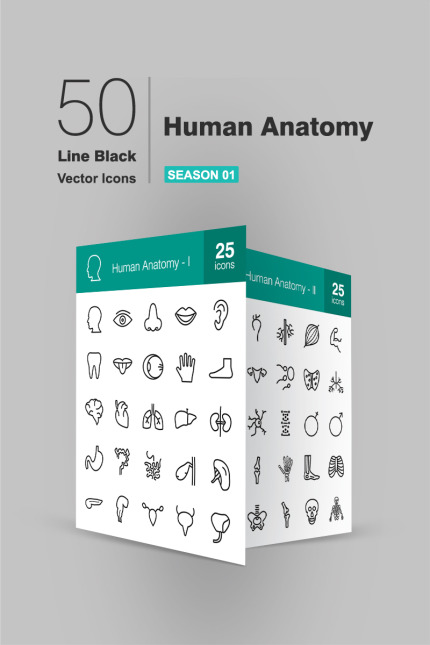 Kit Graphique #93932 Anatomy Icon Divers Modles Web - Logo template Preview