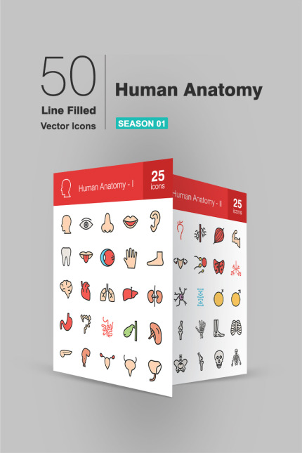 Kit Graphique #94264 Anatomy Icon Divers Modles Web - Logo template Preview