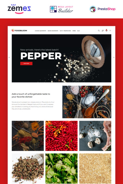 Kit Graphique #94386 Spices Carry Divers Modles Web - Logo template Preview