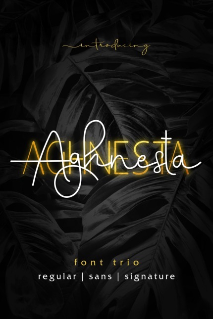 Kit Graphique #95838 Brand Habillement Divers Modles Web - Logo template Preview