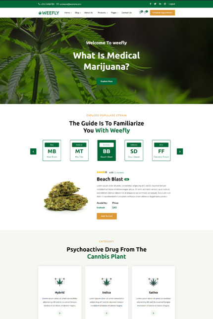 Kit Graphique #97395 Cannabis Marijuana Divers Modles Web - Logo template Preview